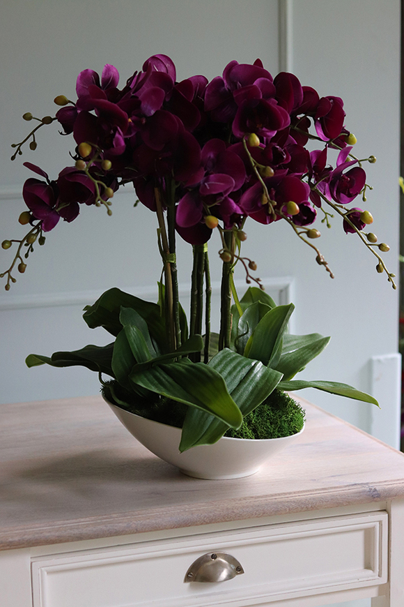 Linotto, fioletowy storczyk w asymetrycznej misie, wys.54cm