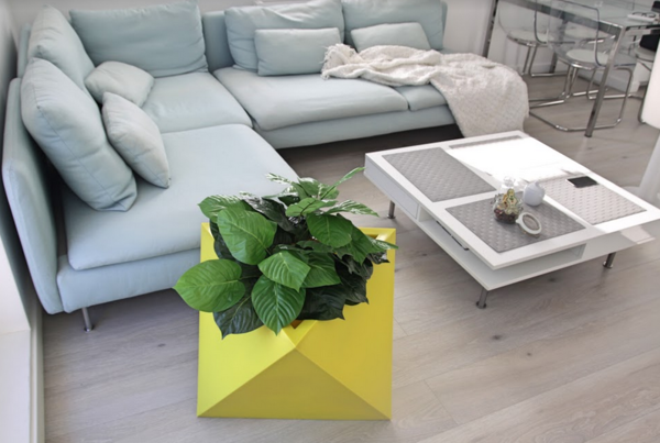 Eos, geometryczna cytrynowa donica, wys.50x60x60cm