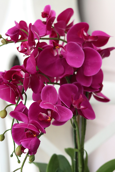 efektowny sztuczny storczyk, Ramona, wys.57cm