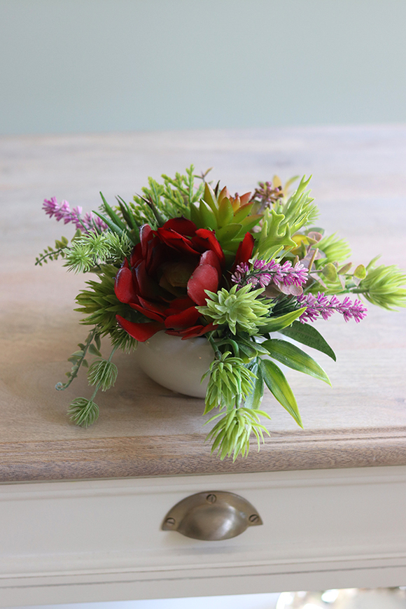 Tofio, kompozycja sukulenty w okrągłej donicy, wys.16cm