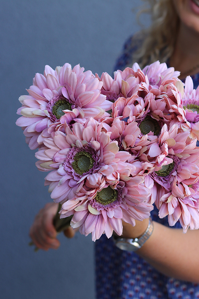 Gerbery Flamenco, bukiet pudrowo-różowych kwiatów, dł.51cm