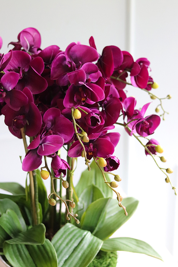 Linotto, fioletowy storczyk w asymetrycznej misie, wys.54cm