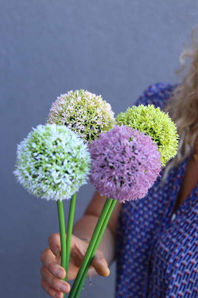 Garlica, kolorowe kwiaty czosnku, 4szt, dł.55cm