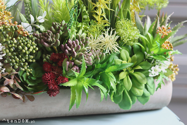 kompozycja sukulenty w długiej donicy, Hektor C, dł.48cm