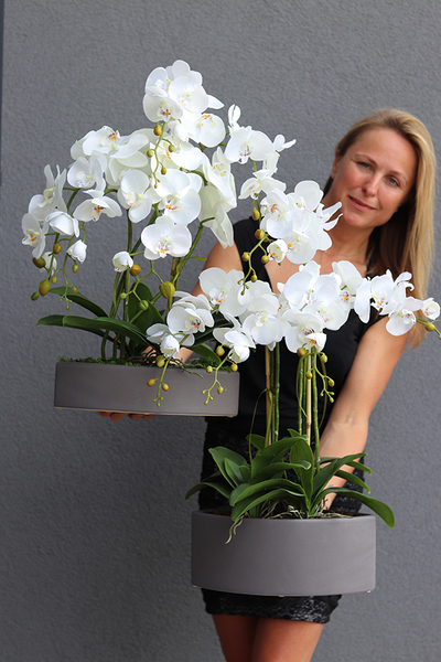 sztuczny storczyk Manfredo w szarej, matowej donicy, wys.67cm