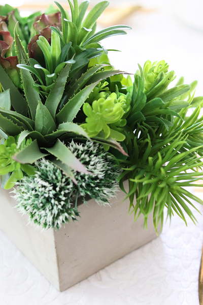 Modern, kompozycja sukulenty w betonowym naczyniu, wym.24x20x28cm