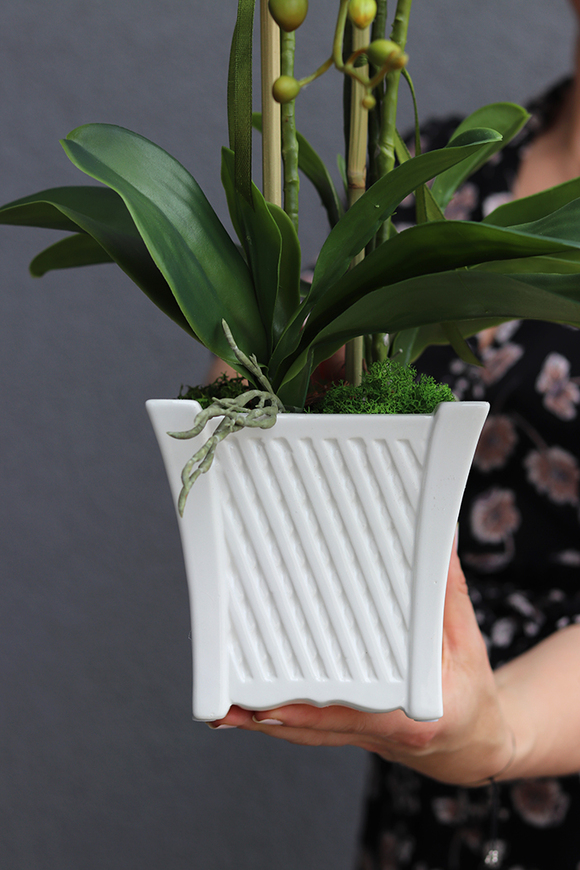 Nemito, sztuczny storczyk w białej, kwadratowej donicy, wys.53cm
