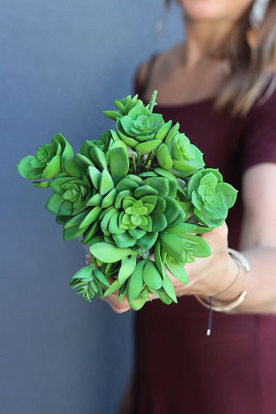 Tellania, nowoczesna kompozycja sukulentów w betonowej donicy, wys.18cm