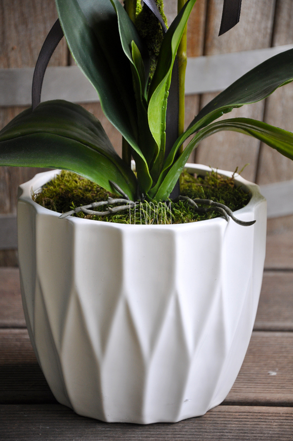 storczyk Design mniejszy w białej donicy, wys.60cm