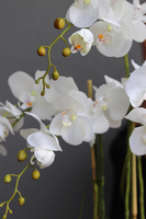 sztuczny storczyk Manfredo w szarej, matowej donicy, wys.67cm