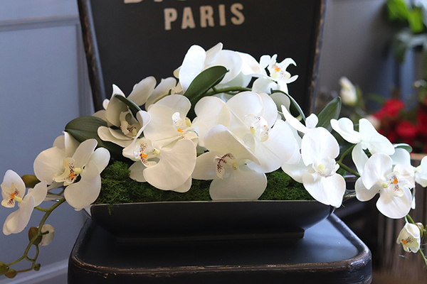 Dekoria Hanoi, storczyk kompozycja kwiatowa w podłużnym naczyniu, dł.57cm