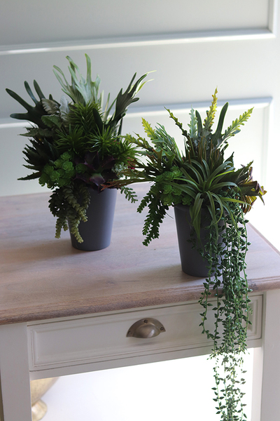 Grey New, kompozycja sukulenty w szarym naczyniu, wys.40cm