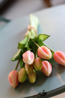 bukiet tulipanów silikonowych, Genotte Pink Cream, 9szt., dł.29cm