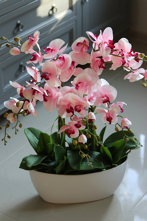 Derano Pink, różowy storczyk w białej donicy, wys.69cm 