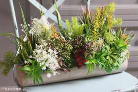 kompozycja sukulenty w długiej donicy, Hektor C, dł.48cm