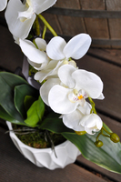 storczyk Design mniejszy w białej donicy, wys.60cm