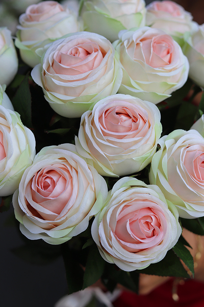 Benata, bukiet 15-stu pastelowych róż, dł. 60cm