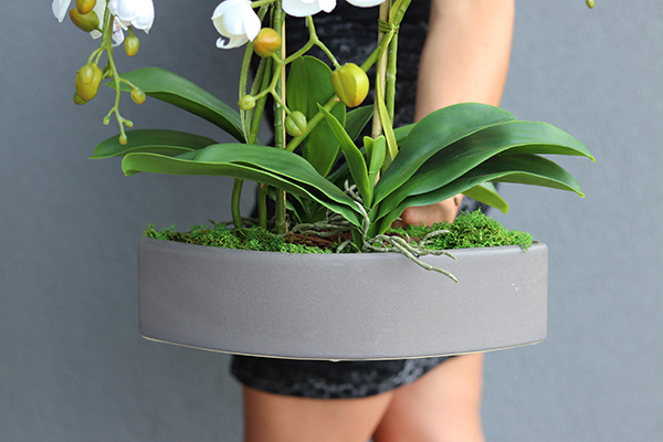 sztuczny storczyk Manfredo w szarej, matowej donicy, wys.67cm