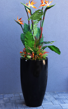 egzotyczna kompozycja, Strelicja Fiberglass Grande, wym.165cm 