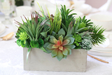 Modern, kompozycja sukulenty w betonowym naczyniu, wym.24x20x28cm