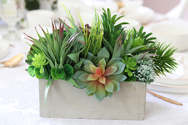 Modern, kompozycja sukulenty w betonowym naczyniu, wym.24x20x28cm