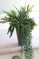 Grey New 2, kompozycja sukulenty w szarym naczyniu, wys.40cm