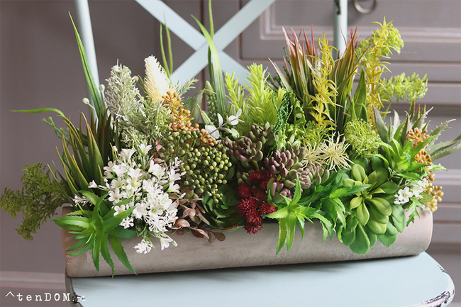 kompozycja sukulenty w długiej donicy, Hektor C, dł.48cm 