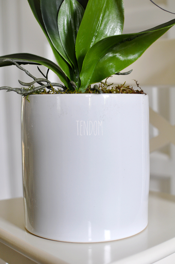 storczyk Marrakesz w ceramicznej, białej donicy wys.54cm