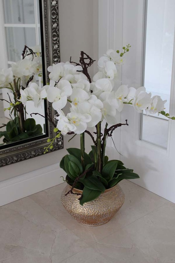 Goldiana, gumowy storczyk w złotej eleganckiej donicy, wys.68cm