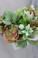 nowoczesna dekoracja w białej ceramicznej donicy Sukulenty, wys.20cm