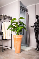 Pons donica terkakota z wewnętrzną półką 44x75cm