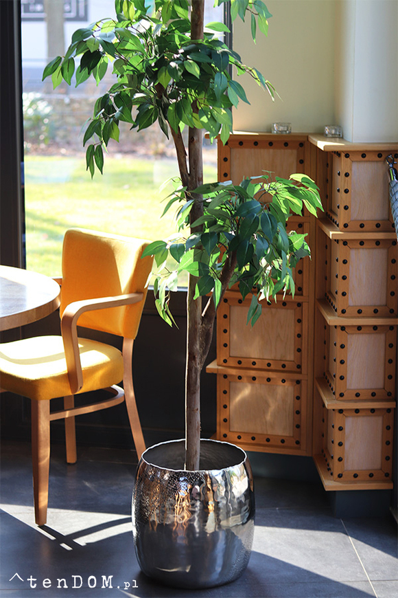 Fikus Benjamin H Deluxe, sztuczna roślina w doniczce