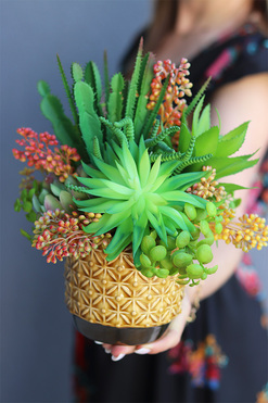 Miodowa, kompozycja sukulenty w donicy vintage, wys.25cm 