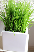 Fiberglass White, sztuczne trawy w eleganckiej donicy	