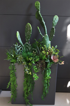 Cacti Grey Fiberglass, sukulenty ze kaktusem w szarej donicy, wys.110cm