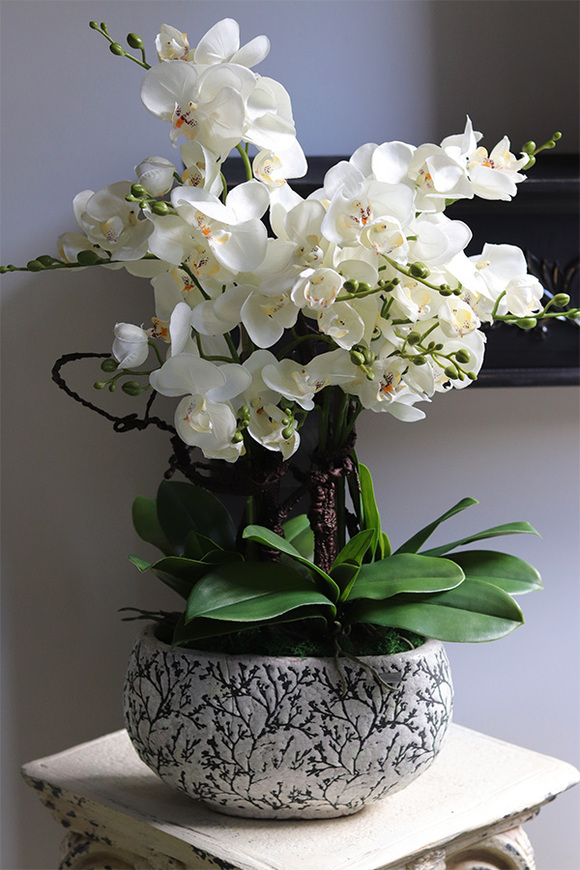 Hedre, biały sztuczny storczyk
