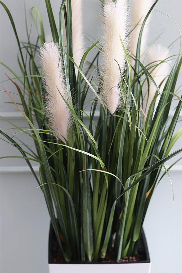 Heristo, kompozycja z traw pampasowych w białej donicy, wys.135cm