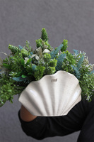 Antylla Marino Shell 2, kompozycja sukulenty w muszli