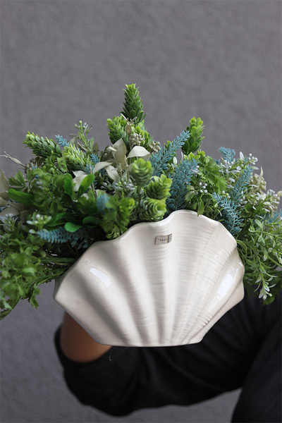 Antylla Marino Shell 2, kompozycja sukulenty w muszli