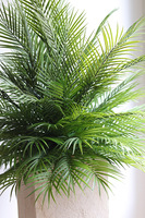 Areca Palma Saute, kompozycja z liści palmowych