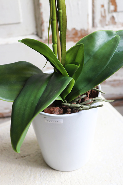 Nemisto Round, różowy gumowy storczyk w białej donicy, wys.66cm