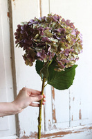gałązka / sztuczna Hortensja Exclusive, fioletowy, dł.75cm,1szt 