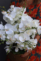 Goldenario Medium 2, biały storczyk w złotej donicy