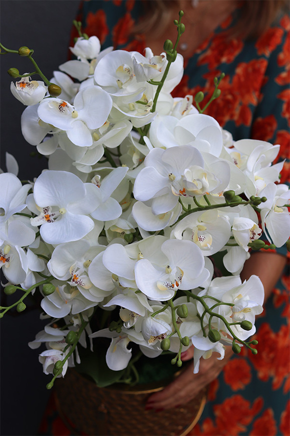 Goldenario Medium 2, biały storczyk w złotej donicy