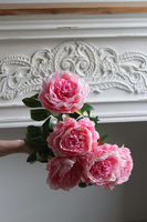 Love Me, bukiet peonii do wazonu, różowe