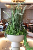 Verde Hotels, kompozycja z trawami kwitnącymi w beżowym pucharze