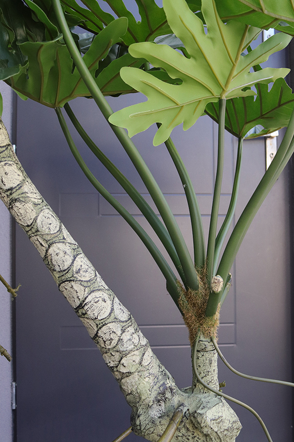 Filodendron Premium, drzewko sztuczne w donicy