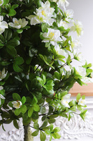 Azalia Fiberglass, sztuczna roślina w czarnej donicy