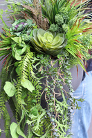 Walter Maestria, kompozycja z sukulentami w donicy fiberglass