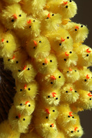 Chiccita, wielkanocny dekoracyjny z kurczaczkami